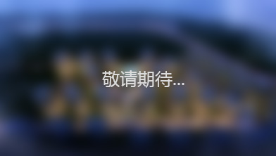 夔州装饰建材城